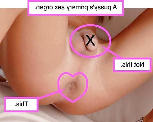 16P My beloved sissy captions