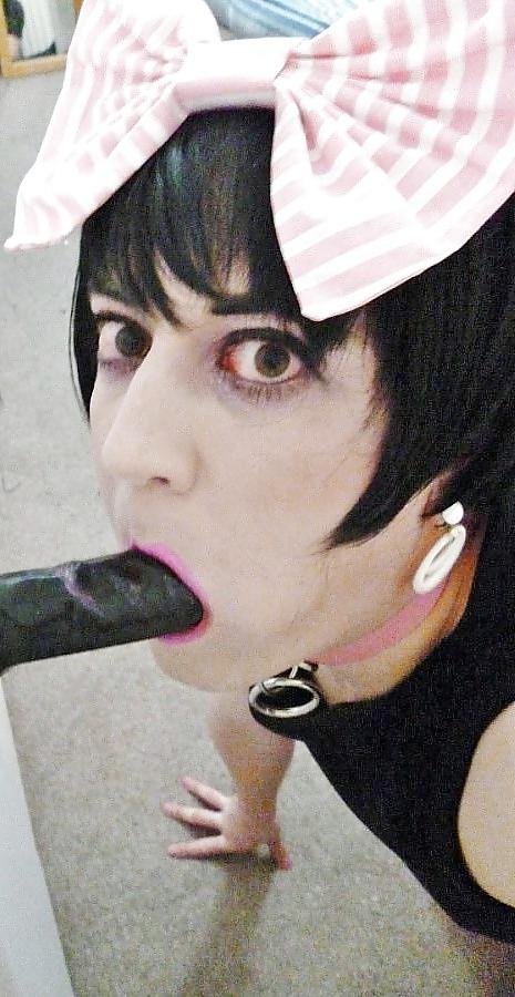 16P DEFINITION OF SISSY