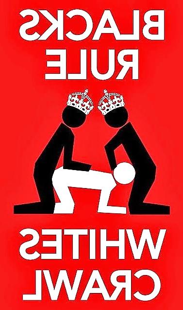 16P DEFINITION OF SISSY