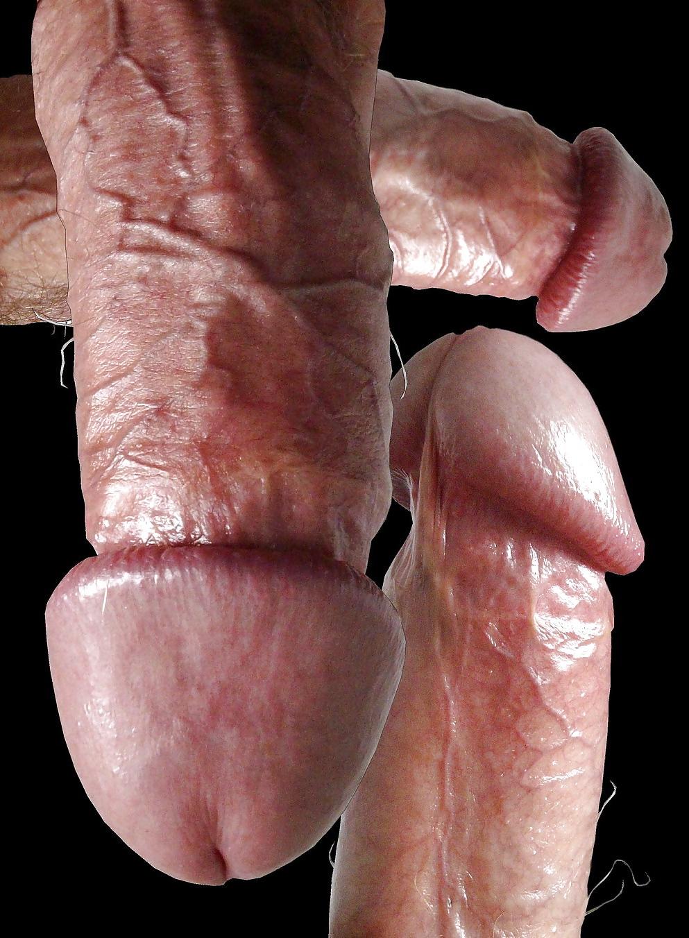 11P FRANK'S HUGE COCK: The Collection