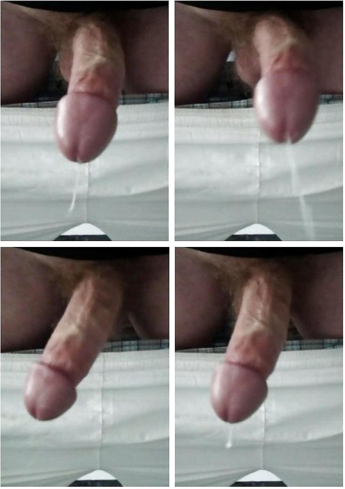11P FRANK'S HUGE COCK: The Collection