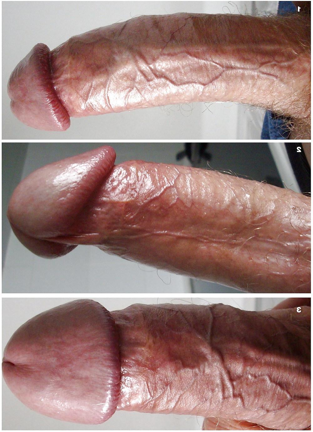 11P FRANK'S HUGE COCK: The Collection