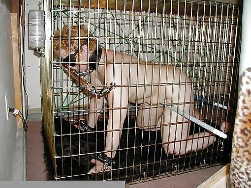 11P Older slave's