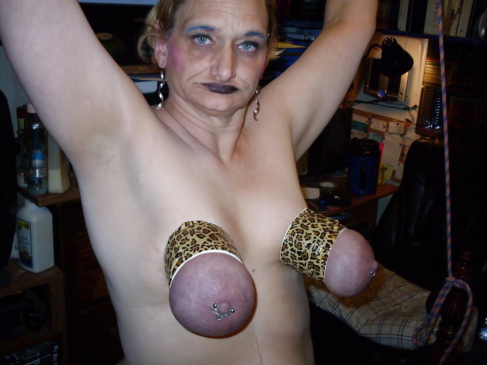 25P Daily life of a skank animal