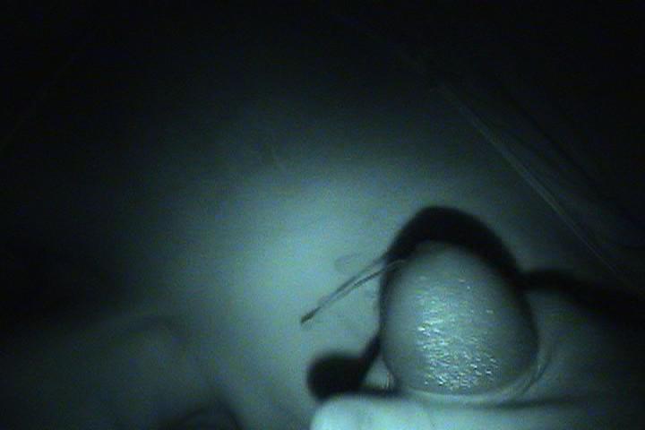 15P Gorgeous hottie get invade as she full asleep and get sucked and fucked