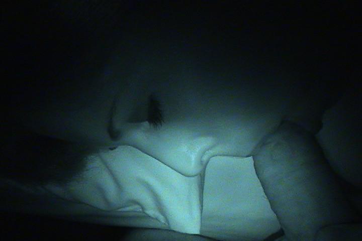 15P Gorgeous hottie get invade as she full asleep and get sucked and fucked