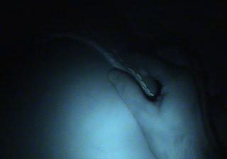 15P Sleeping blonde babe striped naked while asleep