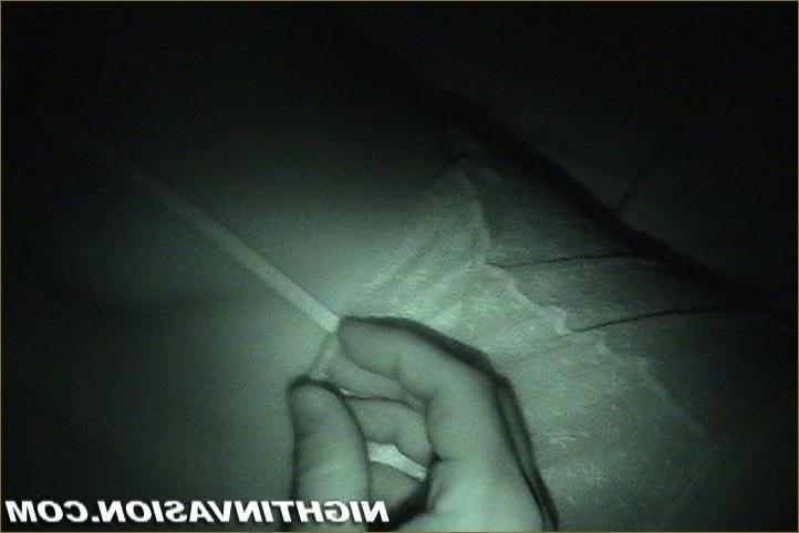 15P Night vision cameras filming a sleeping chick