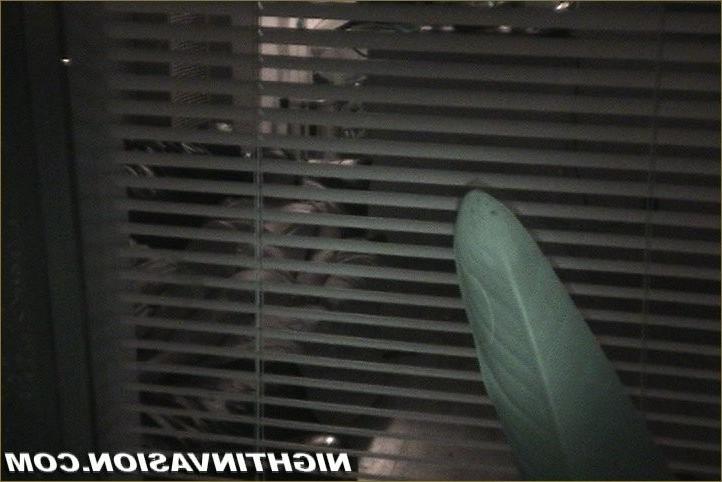 15P Feeding cock to a sleeping woman
