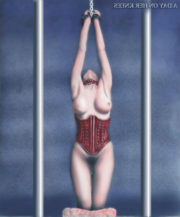15P captured slave bondage art