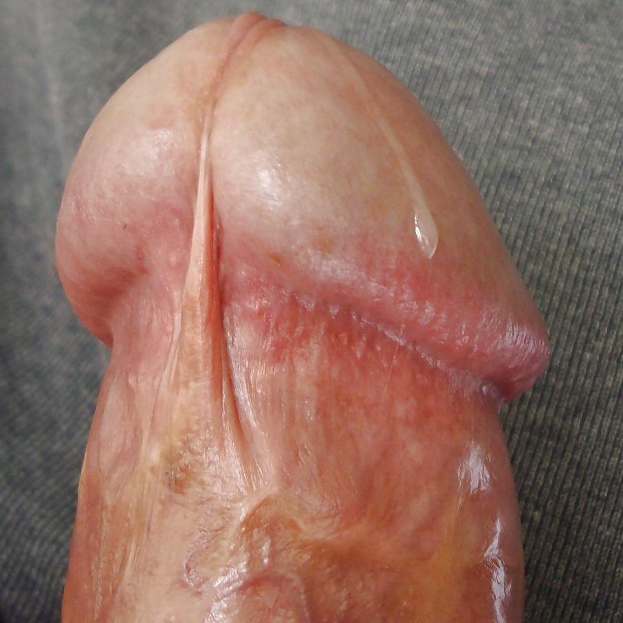 4P FRANK'S HUGE COCK: Precum