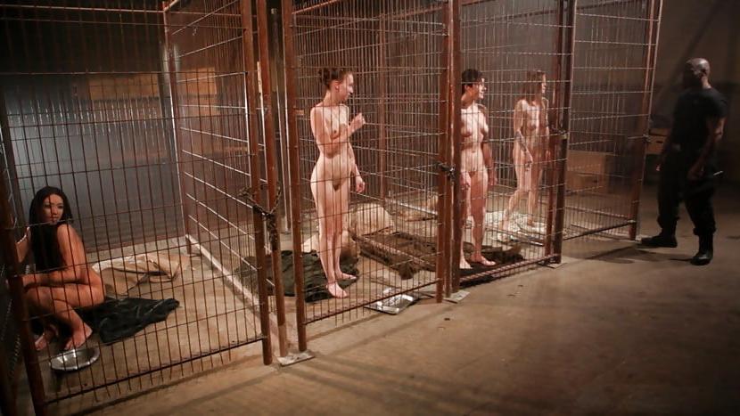 25P Slave and Sluts Waiting to be Sold 12