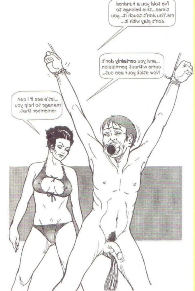 25P FD sissy comics