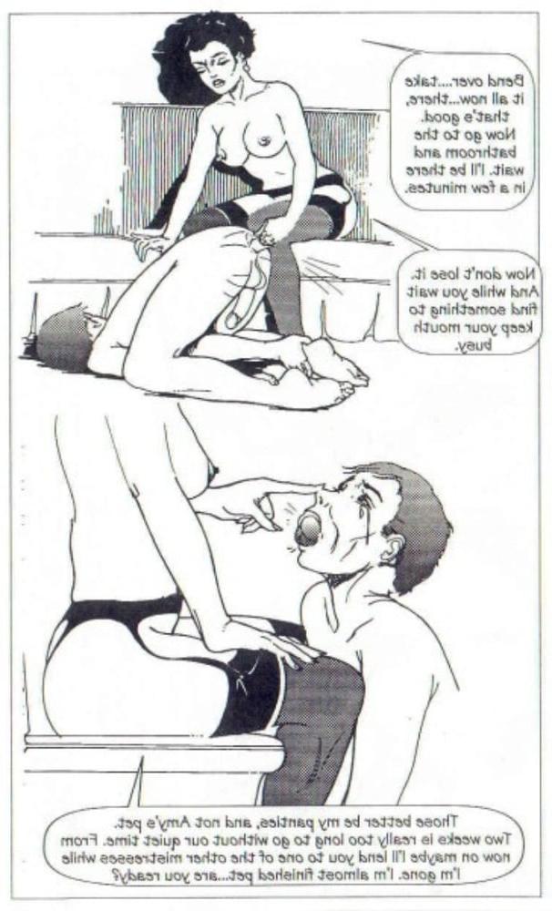 25P FD sissy comics