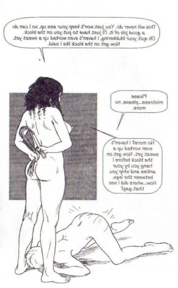 25P FD sissy comics
