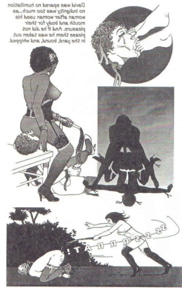 25P FD sissy comics
