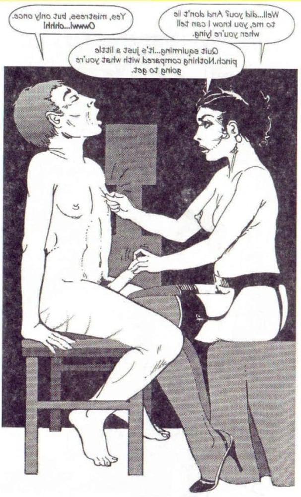 25P FD sissy comics