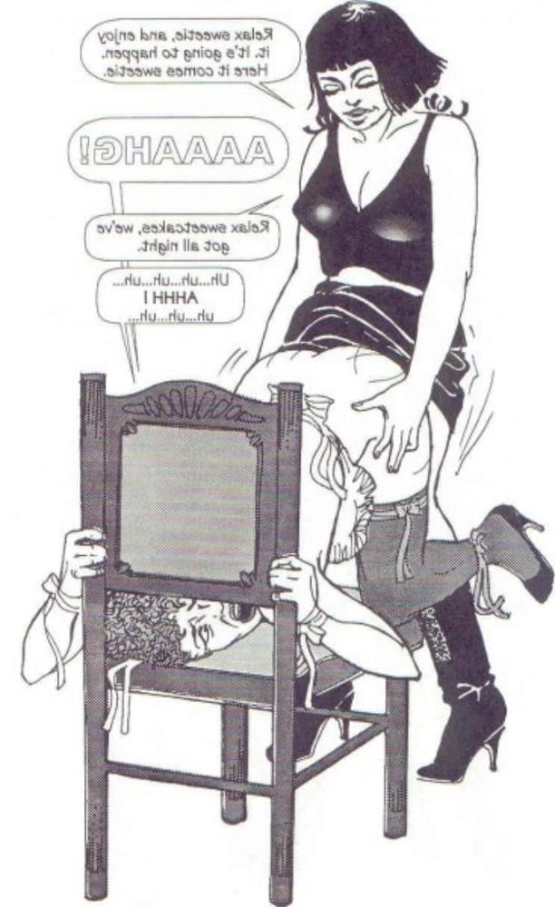 25P FD sissy comics