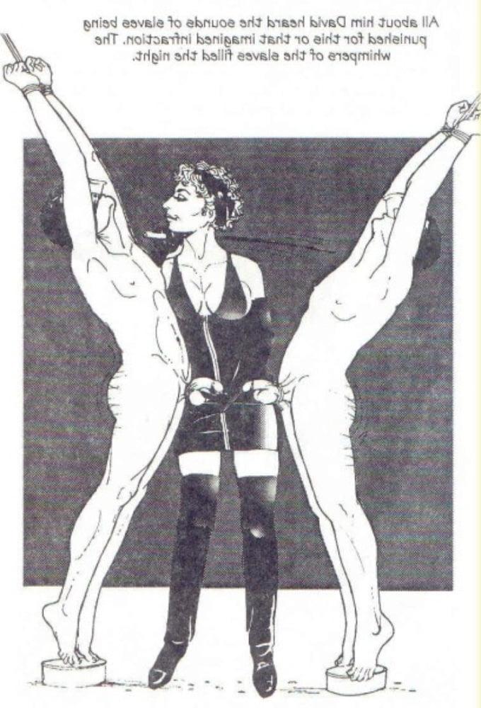 25P FD sissy comics