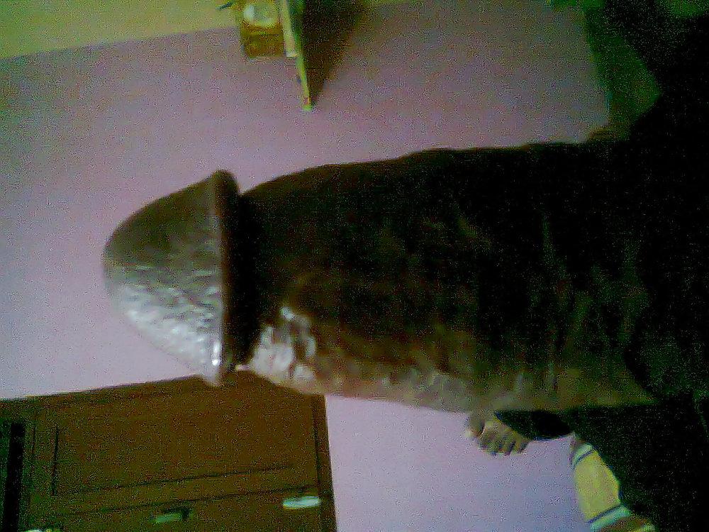 4P Hi Frnds i'm 25y delhi boy with slim body shape still virgin
