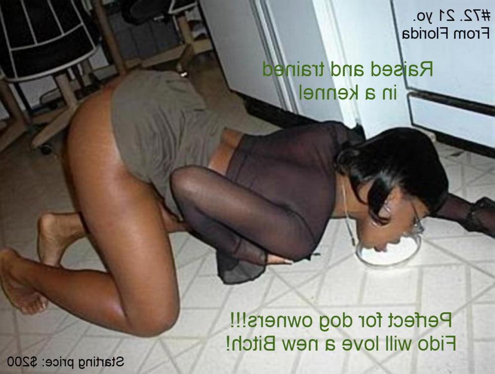 14P Slave Auction Catalog 14