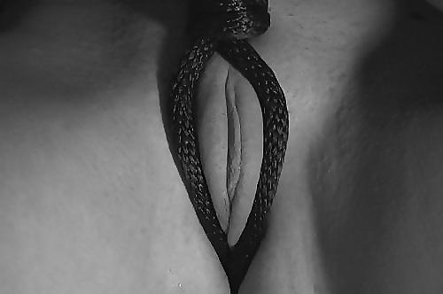 20P Slave